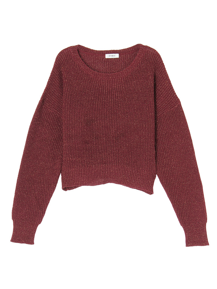 EVRIS ラメショート丈ニットプルオーバー