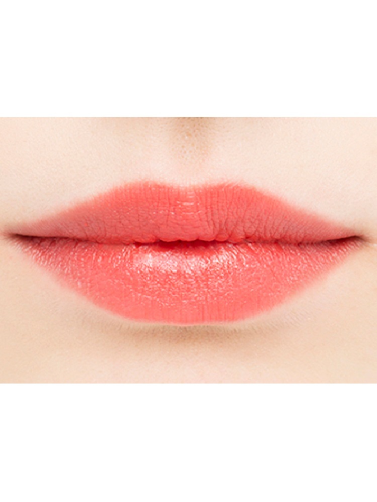 EMODA COSMETICS RIPE LIPS ROUGE ART LADY